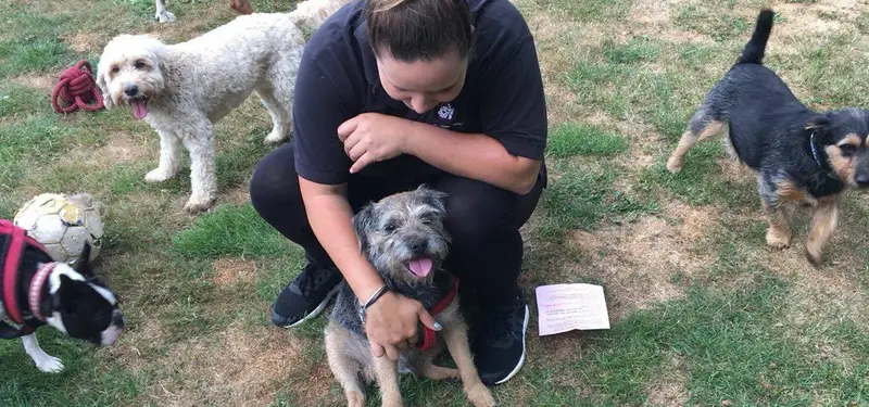 Carols Canine Caring team member cuddling a dog in the paddock