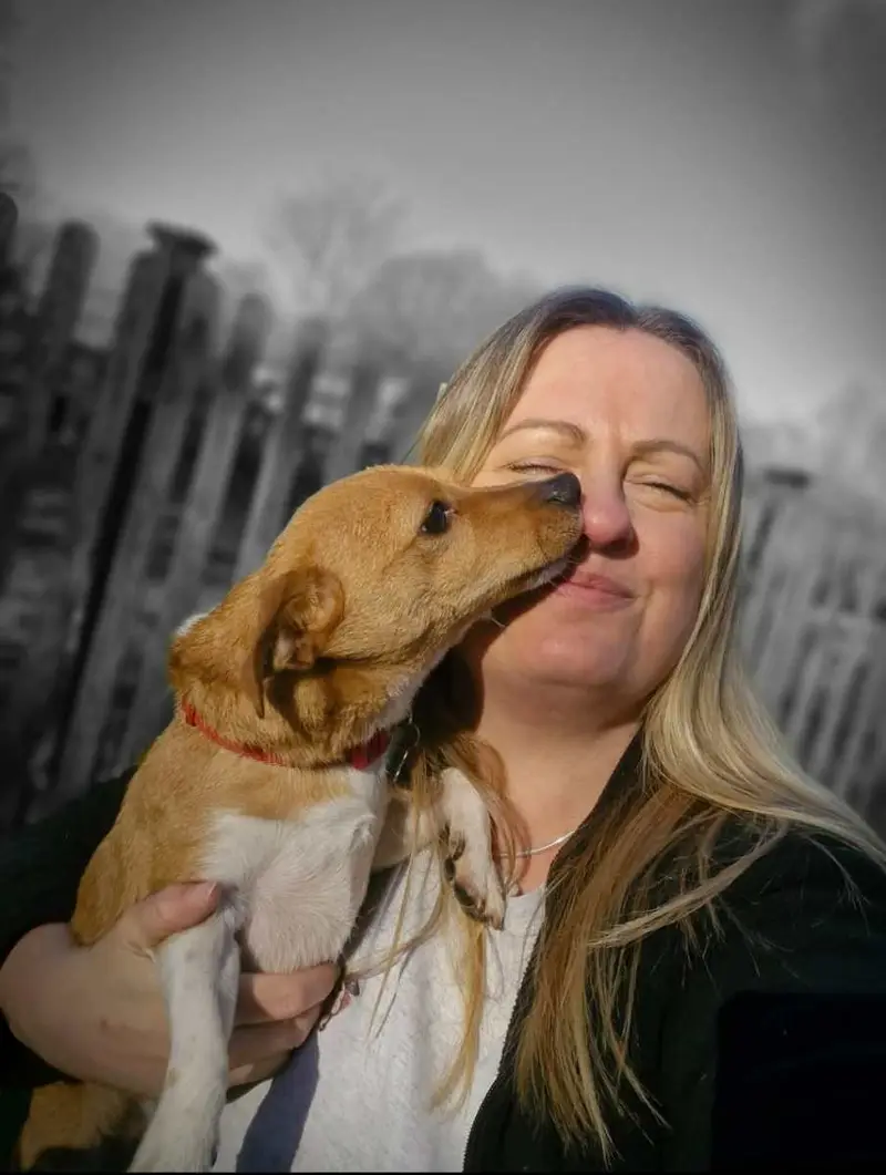 Sam from Carols Canine Caring Ltd Bursledon