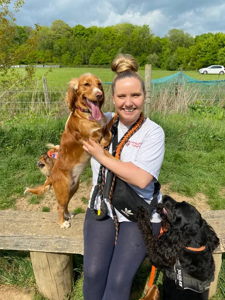 Tasha from Carols Canine Caring with a happy dog in Bursledon