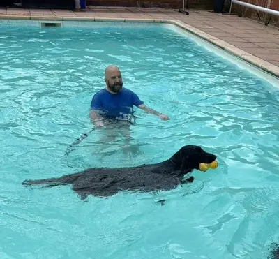 Dog enjoying a Seasonal Splash swim session at Carols Canine Caring Bursledon